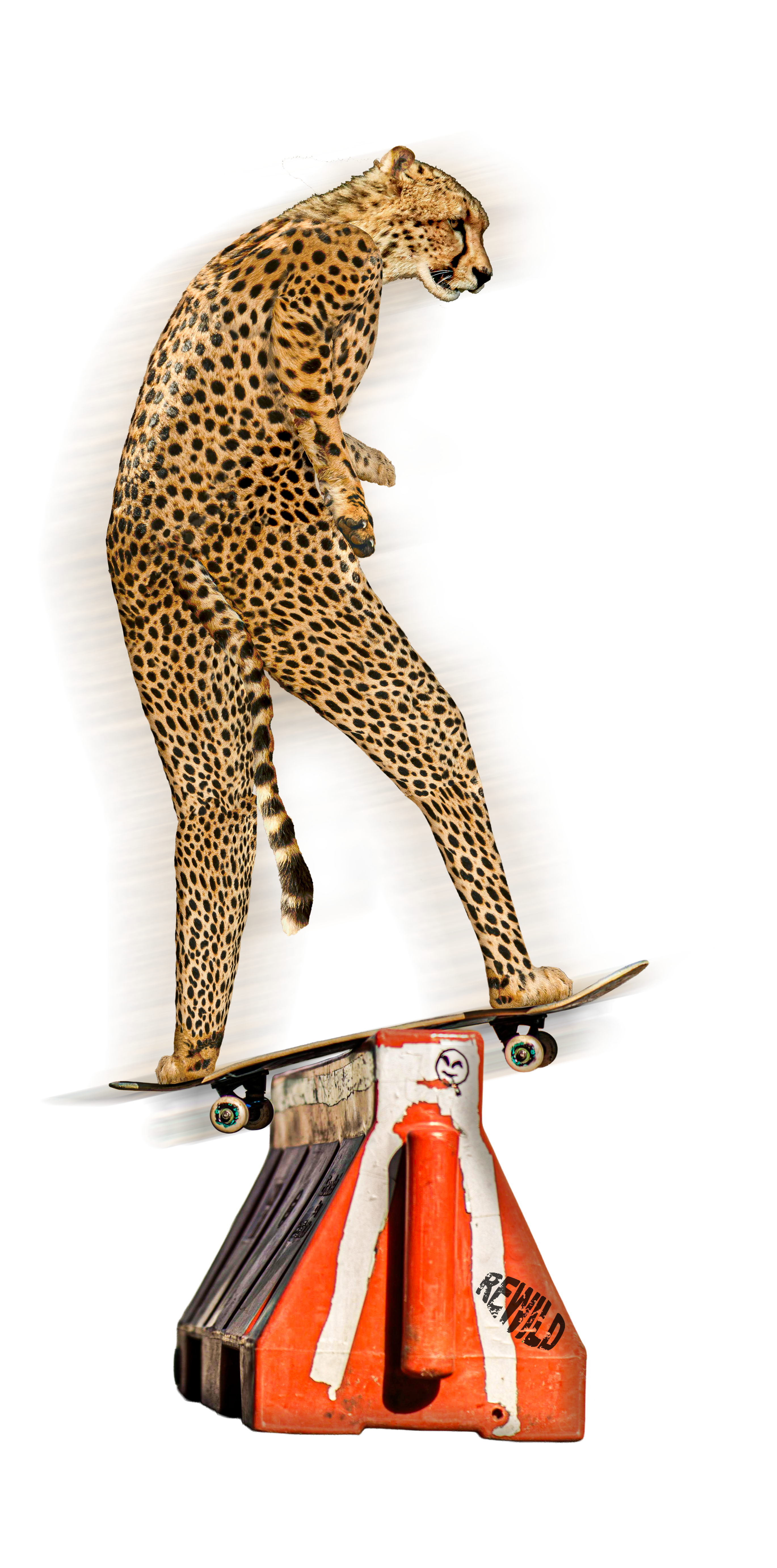 Gepard REWILD